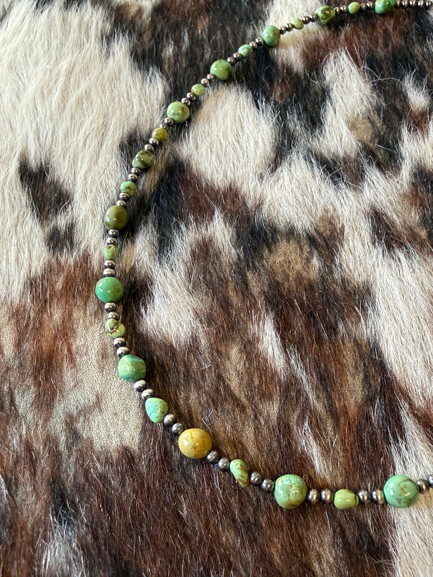 Sonoran Gold Turquoise