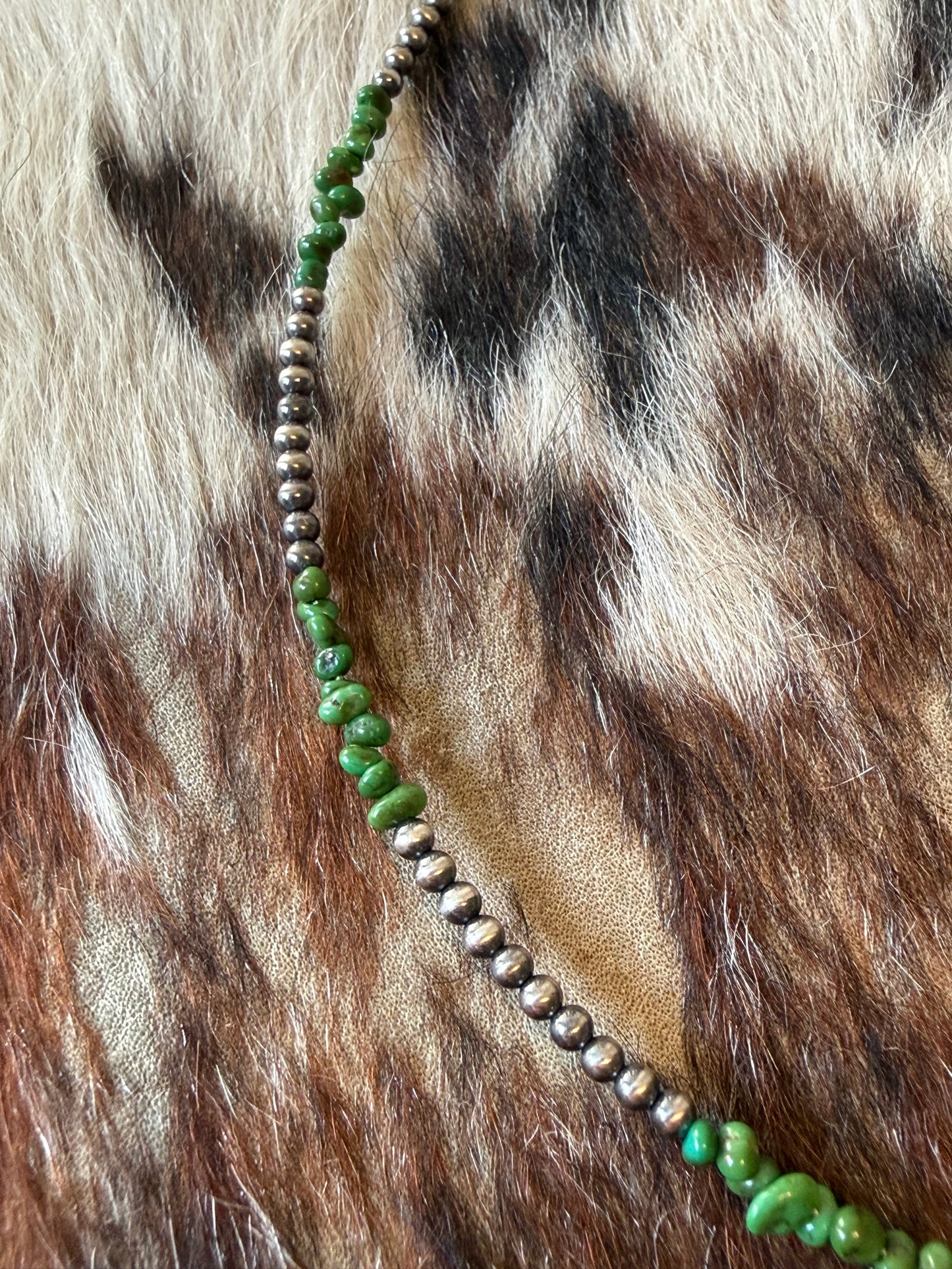Sonoran Gold Turquoise