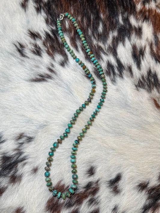 Patagonia Turquoise