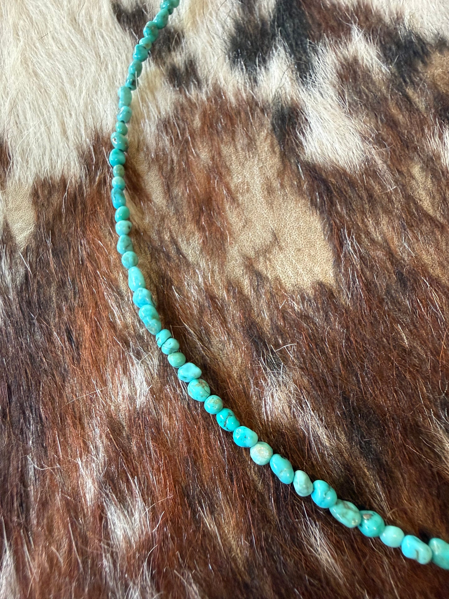 Sonoran Gold Turquoise